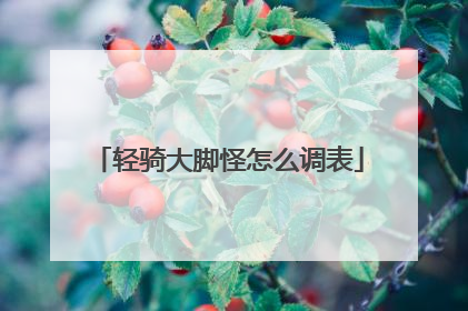 轻骑大脚怪怎么调表