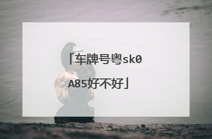 车牌号粤sk0A85好不好