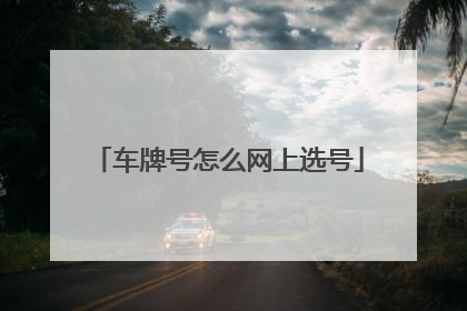 车牌号怎么网上选号