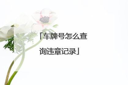 车牌号怎么查询违章记录