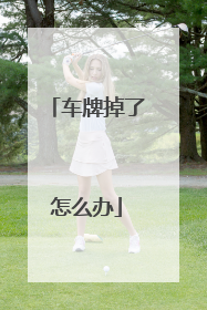 车牌掉了怎么办