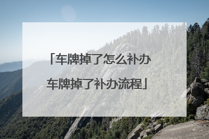 车牌掉了怎么补办 车牌掉了补办流程