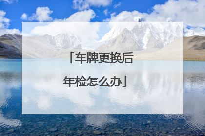 车牌更换后年检怎么办