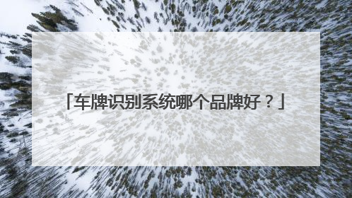 车牌识别系统哪个品牌好？