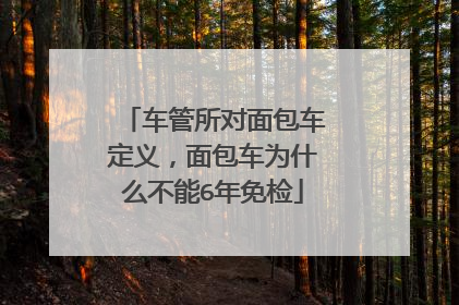 车管所对面包车定义，面包车为什么不能6年免检