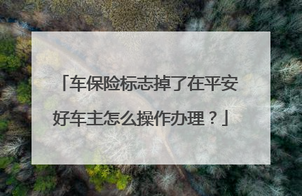 车保险标志掉了在平安好车主怎么操作办理？