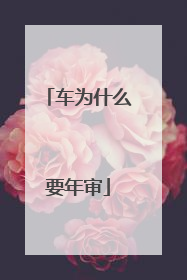 车为什么要年审