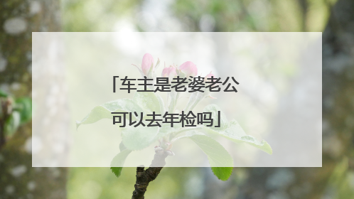 车主是老婆老公可以去年检吗