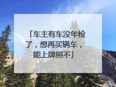 车主有车没年检了，想再买辆车，能上牌照不