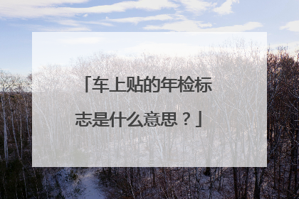 车上贴的年检标志是什么意思？