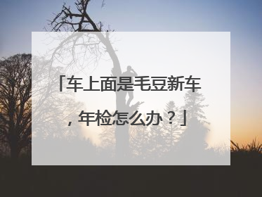 车上面是毛豆新车，年检怎么办？