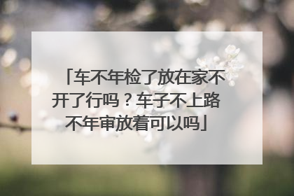 车不年检了放在家不开了行吗？车子不上路不年审放着可以吗