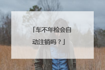车不年检会自动注销吗？