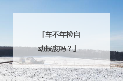 车不年检自动报废吗？