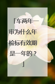 车两年一审为什么年检标有效期是一年的？