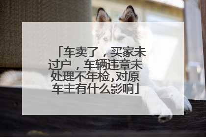 车卖了，买家未过户，车辆违章未处理不年检,对原车主有什么影响