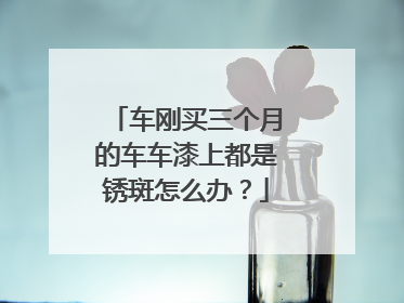 车刚买三个月的车车漆上都是锈斑怎么办？