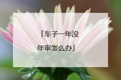 车子一年没年审怎么办