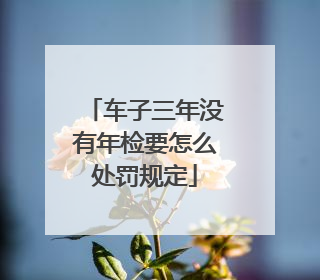 车子三年没有年检要怎么处罚规定