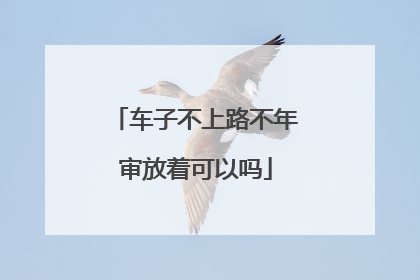 车子不上路不年审放着可以吗