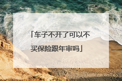 车子不开了可以不买保险跟年审吗