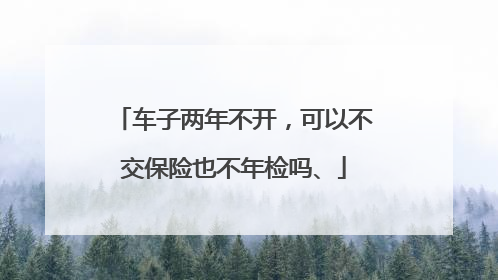 车子两年不开，可以不交保险也不年检吗、