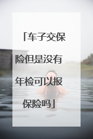 车子交保险但是没有年检可以报保险吗