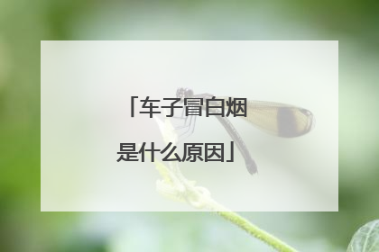车子冒白烟是什么原因