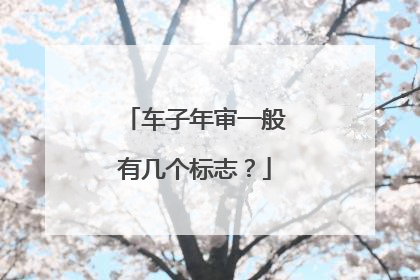 车子年审一般有几个标志？