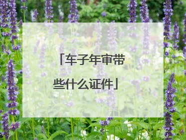 车子年审带些什么证件
