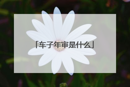 车子年审是什么