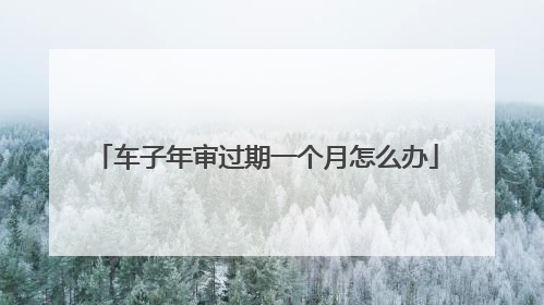 车子年审过期一个月怎么办