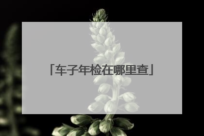 车子年检在哪里查