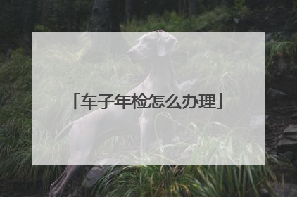 车子年检怎么办理