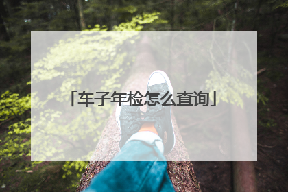 车子年检怎么查询