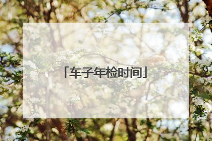 车子年检时间