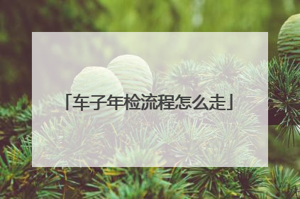 车子年检流程怎么走