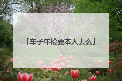 车子年检要本人去么