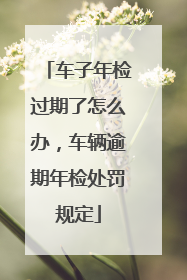 车子年检过期了怎么办，车辆逾期年检处罚规定