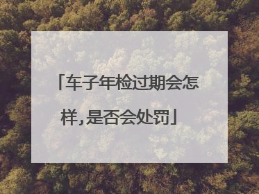 车子年检过期会怎样,是否会处罚