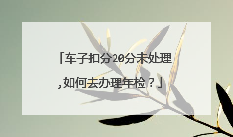车子扣分20分未处理,如何去办理年检？