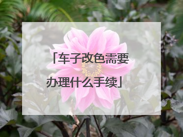 车子改色需要办理什么手续