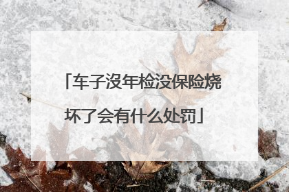 车子沒年检没保险烧坏了会有什么处罚