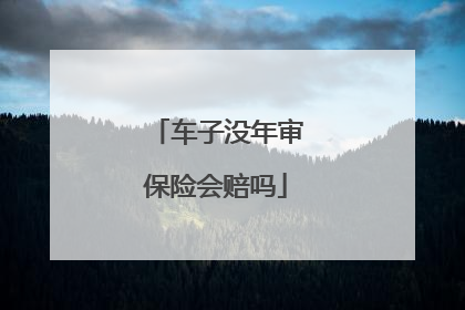 车子没年审保险会赔吗