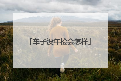 车子没年检会怎样
