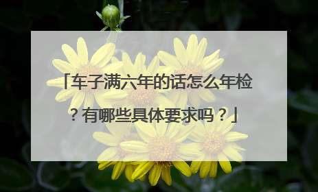 车子满六年的话怎么年检？有哪些具体要求吗？