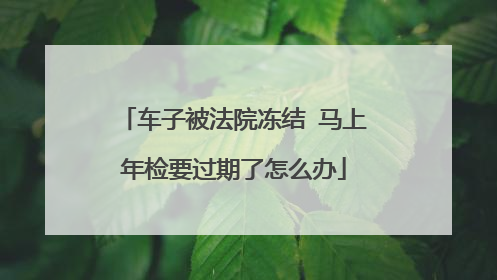 车子被法院冻结 马上年检要过期了怎么办