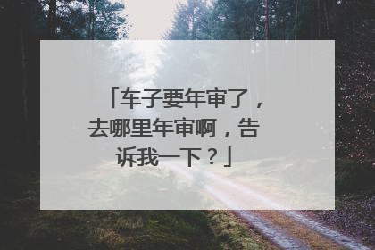 车子要年审了，去哪里年审啊，告诉我一下？
