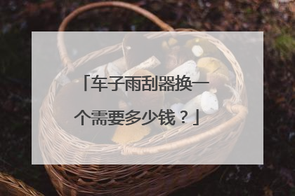 车子雨刮器换一个需要多少钱？