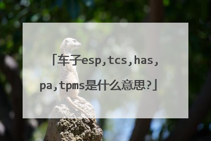 车子esp,tcs,has,pa,tpms是什么意思?